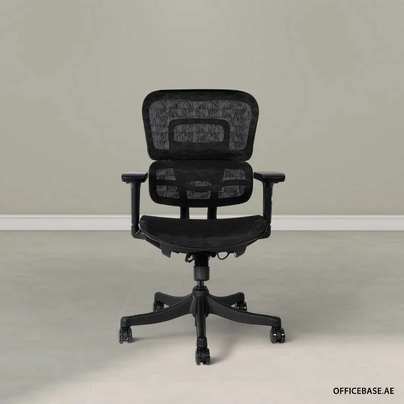 Infinite Ergonomic Mid Back Mesh Chair