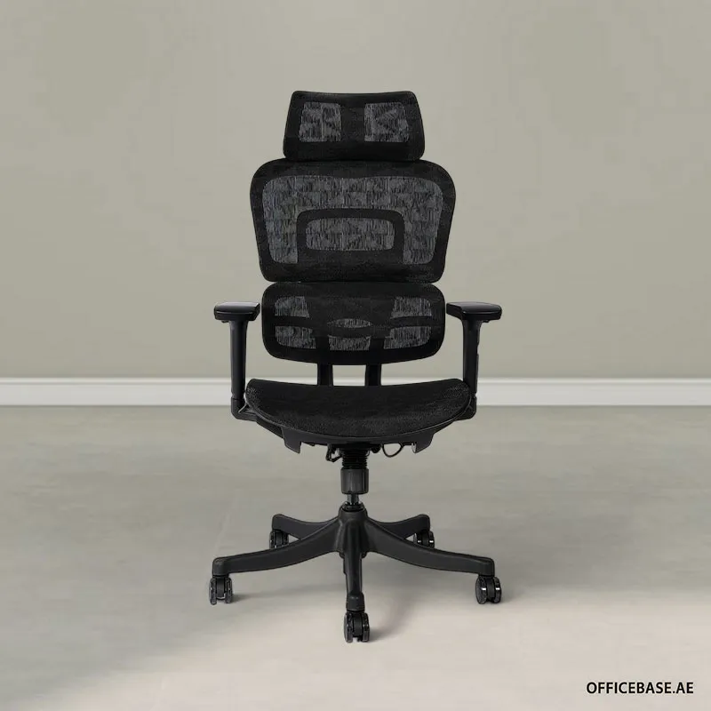 Infinite Ergonomic High Back Mesh Chair