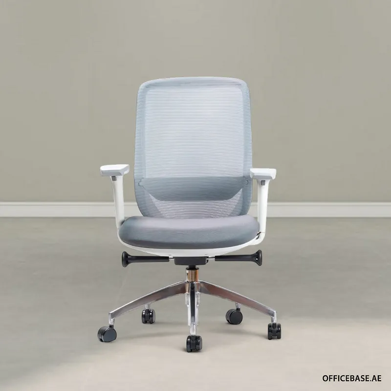 Goodplus Executive Mid Back Mesh Chair