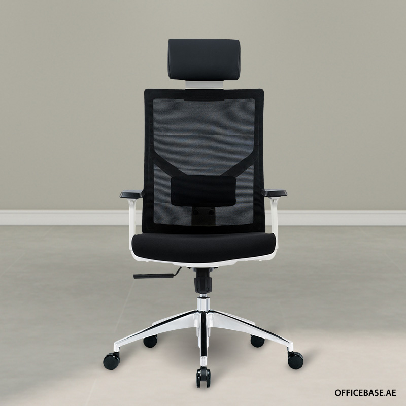 Arc Executive High Back Mesh Chair