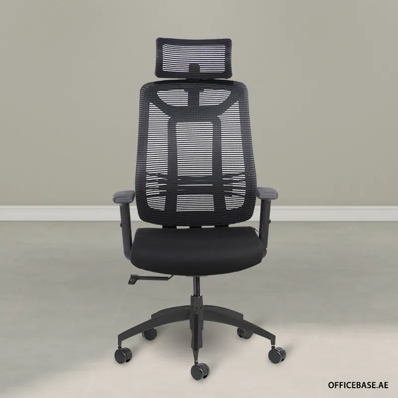 DAYFREY Executive High Back Mesh Chair
