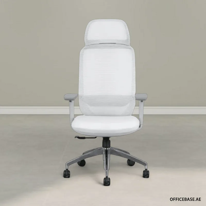 Goodplus Executive High Back Mesh Chair