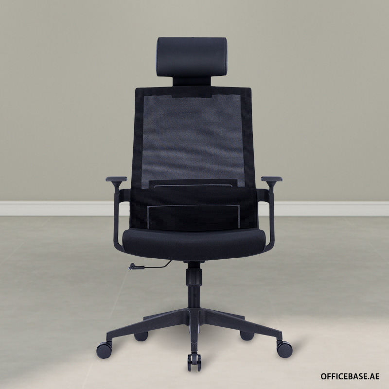 Dominion Executive High Back Mesh Chair