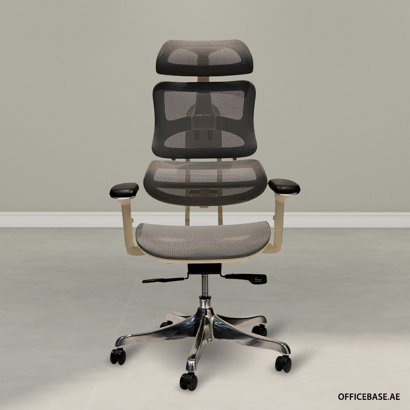 Arpenz Ergonomic High Back Mesh Chair