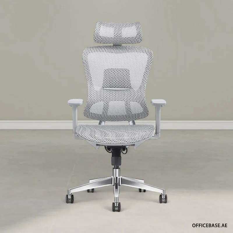 FYONO Ergonomic High Back Mesh Chair