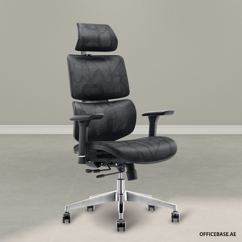 ARPHEN Executive High Back Mesh Chair