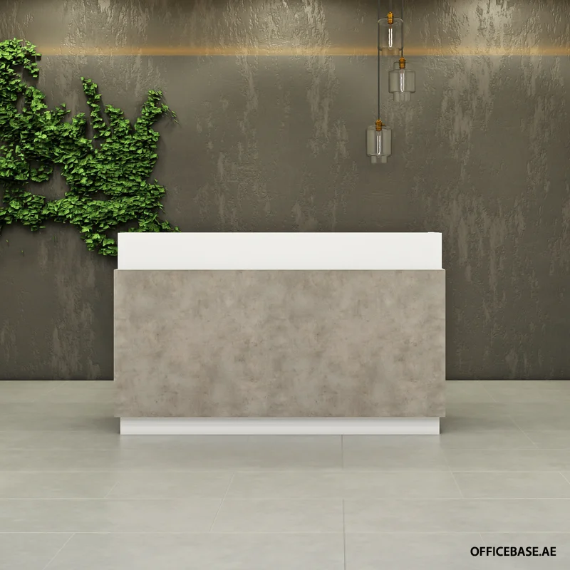 THECA Reception Desk | Concrete Colors